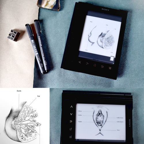 Science artwork with the title 'Gynecology illustrations for print and ebook'