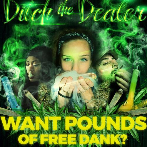 Joint design with the title 'Ditch the Dealer Flyer'