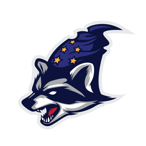 Witch design with the title 'witch racoon'