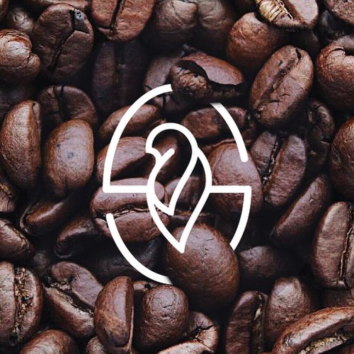 Serif logo with the title 'noa.s '