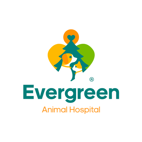 Cat brand with the title 'Evergreen Animal Hospital Logo Design'