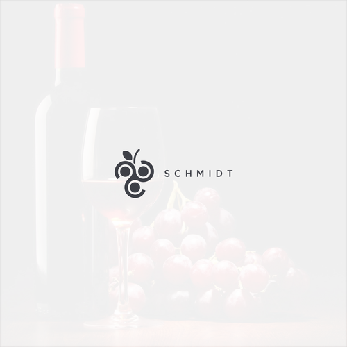 Discover logo with the title 'schmidt'