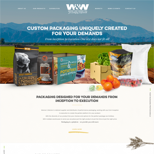 Homepage website with the title 'Web Design For a Packaging Company'