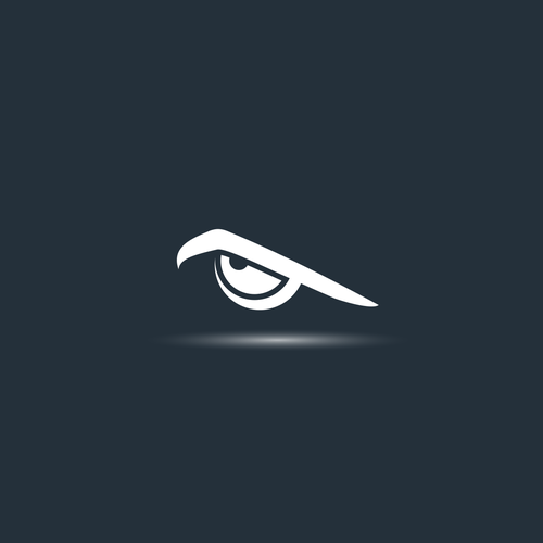 Vision logo with the title 'bird eye logo'