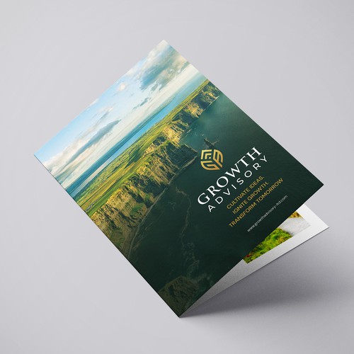 Design with the title 'High-end consulting brochure'