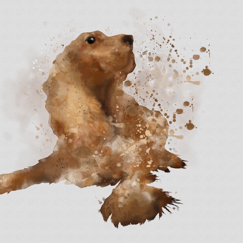 Watercolor illustration with the title 'Mirro dog illustration A'