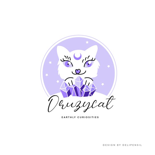Cute cat logo with the title 'Druzycat'