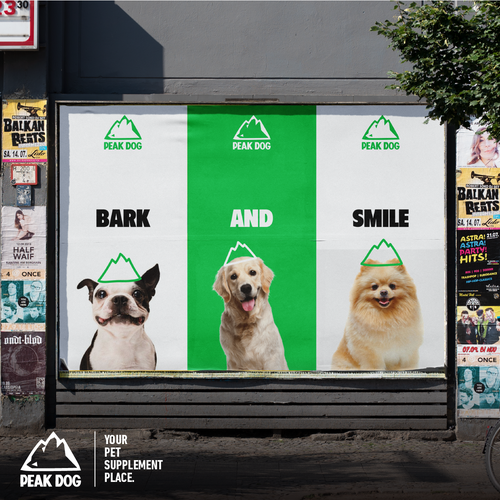 480 平面设计ideas  pet branding, pet advertising, animal infographic