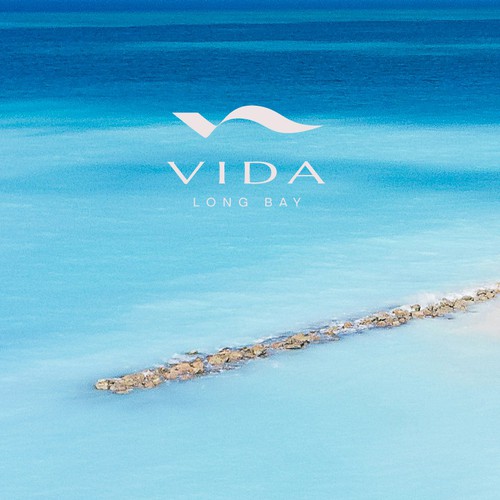 Travel agency logo with the title 'Vida'