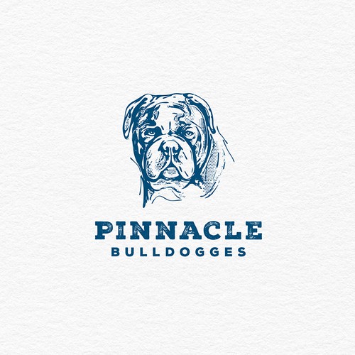 Bulldog logo with the title 'Logo concept "Pinnacle Bulldogges"'