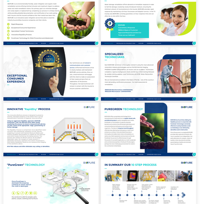 Pitch deck with custom Infographic for BIOPURE
