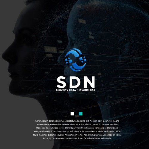 Text brand with the title 'SECURITY DATA NETWORK'