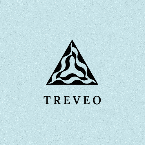Project design with the title 'TREVEO'