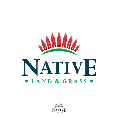 Chief logo with the title 'Logo for land clearing, erosion control, and soil improvementand '