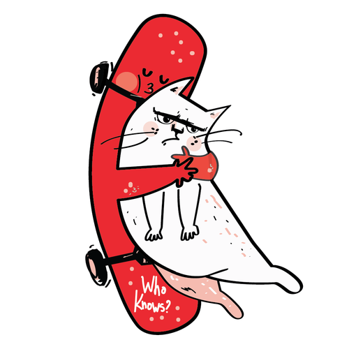 Cat t-shirt with the title 'Fun, Playful and Weird a whacky t-shirt'