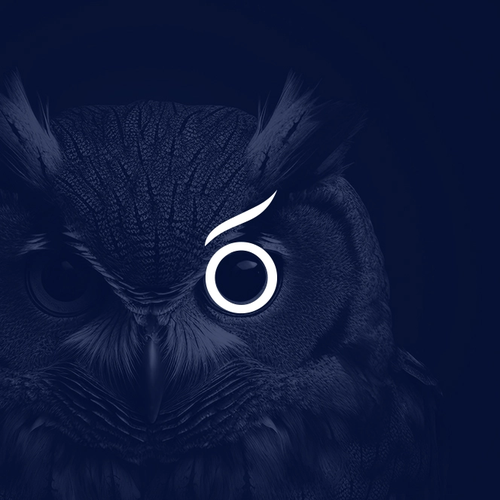 Owl brand with the title 'Crionna Financial'