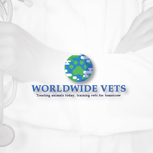 Isometric logo with the title 'Flat Veterinary Logo'