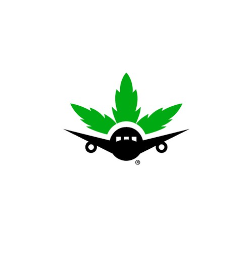 Airplane logo with the title 'Custom Logo for Takeoff'