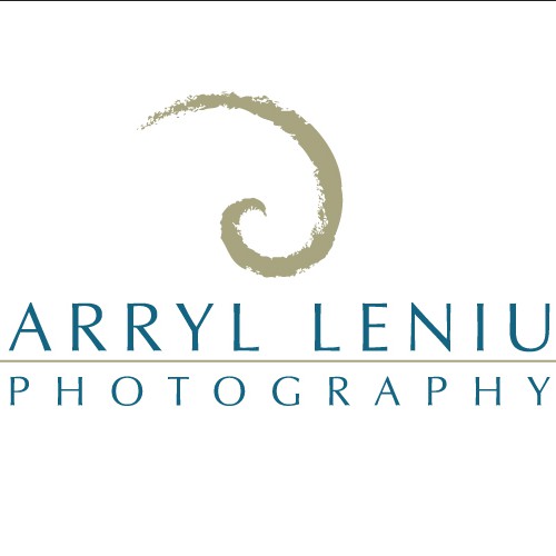 Swirly logo with the title 'Darryl Leniuk Photography'