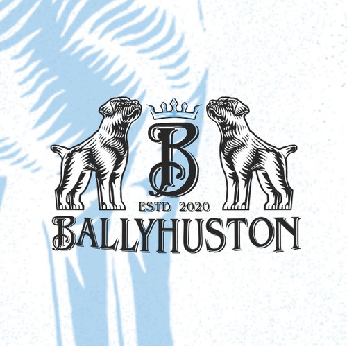 Pet shop design with the title 'dog logo design'