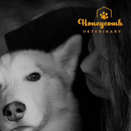 Honeycomb design with the title 'The Paw and the Comb.'