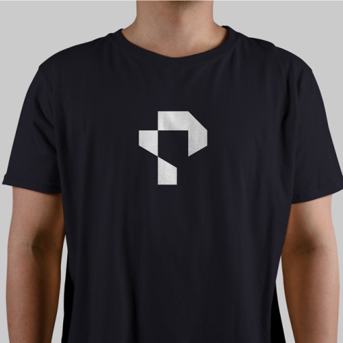 Corporate identity logo with the title 'Prism'