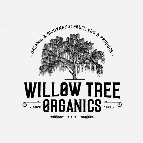 Willow logo with the title 'Logo Design For Willow Tree Organics'