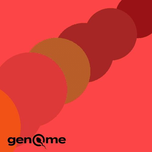 Design with the title 'Website Design Collection'