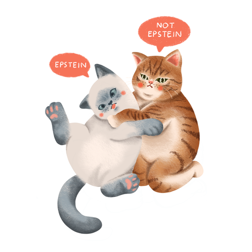 Cat t-shirt with the title 'Japanese Aesthetic Cat'