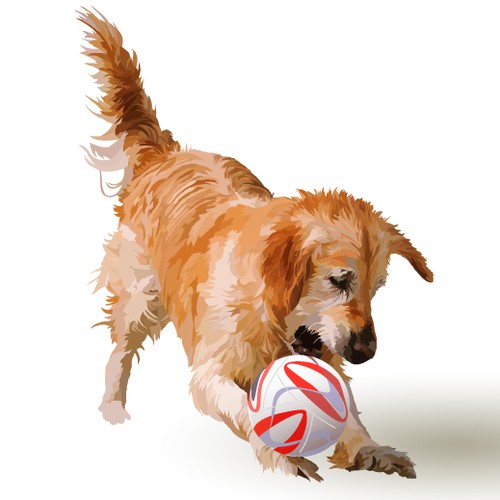 Soccer ball design with the title 'Golden Retriever at Play!'