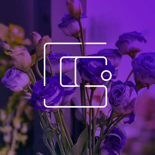 Candle logo with the title 'Sweet Candle Co.'