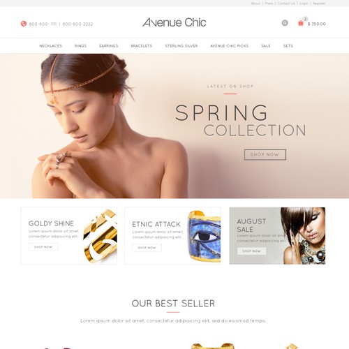 Feminine website with the title 'Avenue Chic Website Design'