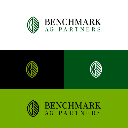 Corporate identity logo with the title 'Benchmark Ag Partners logo'