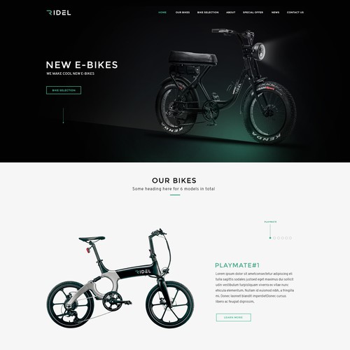 Design firm website with the title 'RIDEL BIKES HOME PAGE'