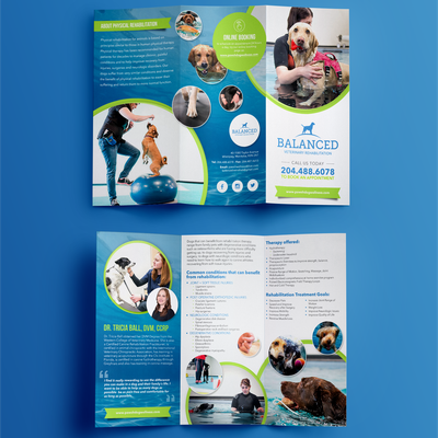 Brochure for Blanced Vet