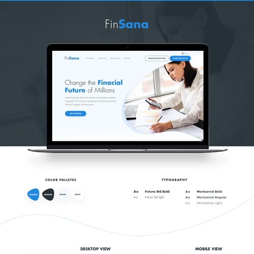Accounting website with the title 'FinSANA'
