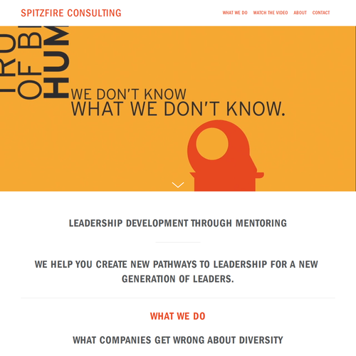Diversity design with the title 'SpitzFire Consulting'