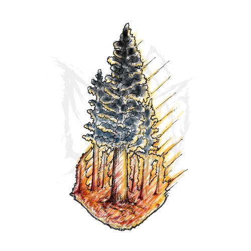 Burning design with the title 'Fire Tree'