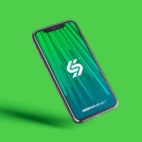 Logo with the title 'ServaxNet'