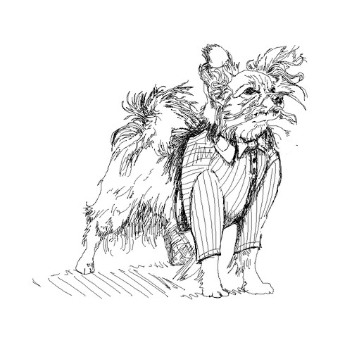 Fancy design with the title 'dog in the plaid shirt'