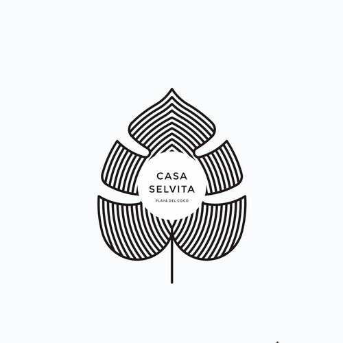 Jungle logo with the title 'Casa selvita'