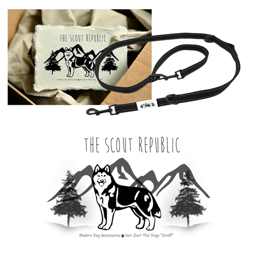 Husky logo with the title 'The Scout Republic'