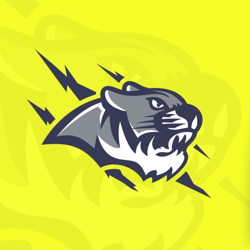 Scratch design with the title 'Hockey Logo'