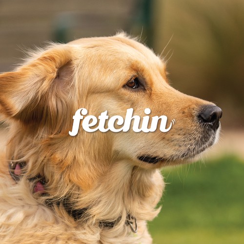 Pet grooming logo with the title 'wordmark for pet brand'