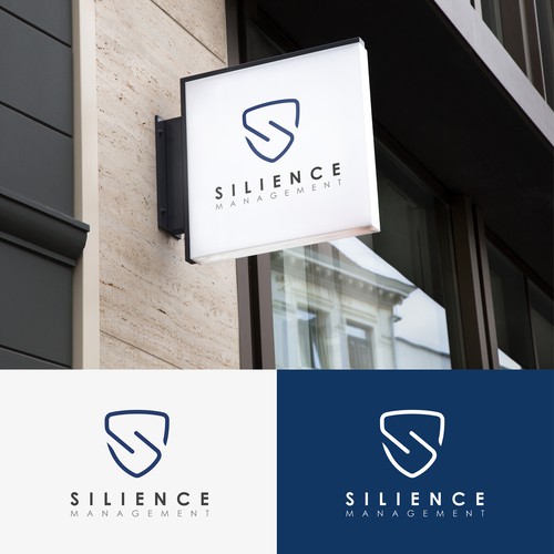 Safe design with the title 'logo concept for holding company'