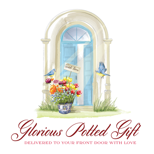 Flower design with the title 'Create the next illustration for My Happy Dream, GLORIOUS POTTED GIFT  Delivered to the Front Door ﻿with Love....'