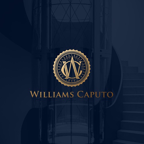 Corporate brand with the title 'Anagram logo concept'