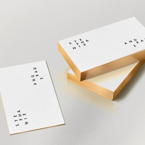 System design with the title 'Stepahinue Andrade brand identity'