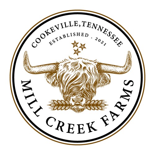 Livestock logo with the title 'Highland cattle vintage logo'