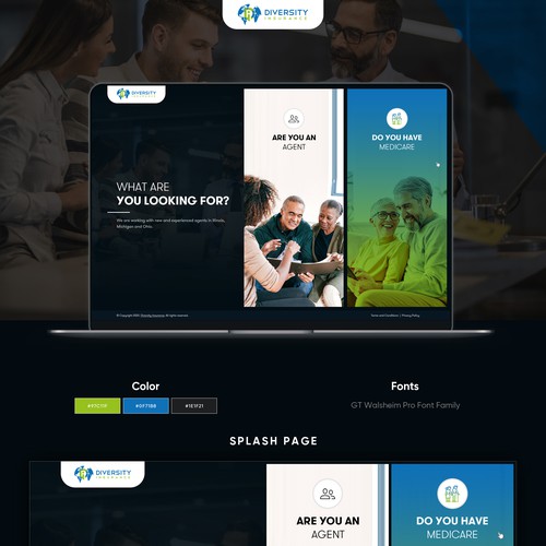 Insurance website with the title 'Diversity Insurance'